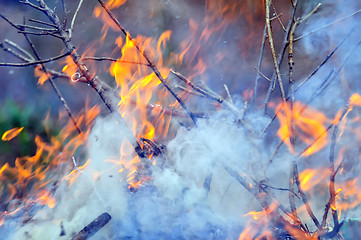 Image showing leaves burning hazard