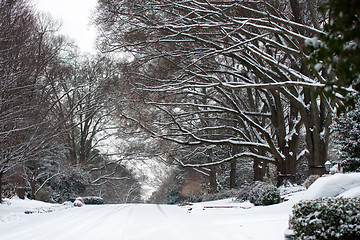 Image showing snow covered street and treeline
