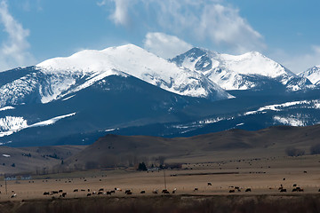 Image showing rocky mountains in montana