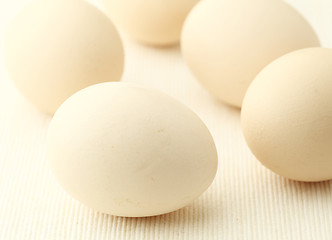 Image showing Egg