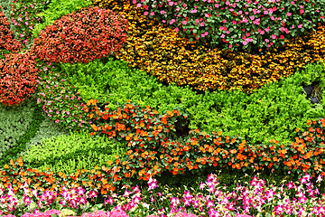 Image showing flower wall