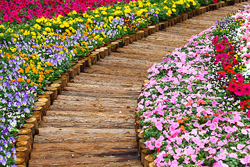 Image showing wooden path in flower bed