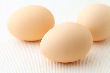 Image showing egg