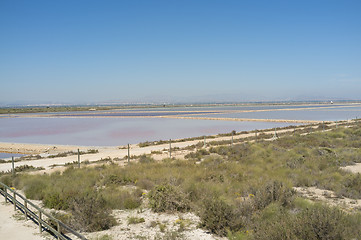 Image showing Santa Pola salt marsh