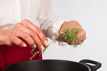 Image showing Seasoning with thyme