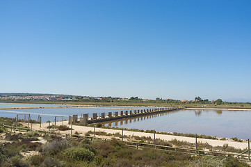 Image showing Santa Pola salt marsh