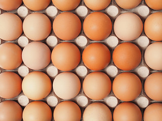 Image showing Eggs