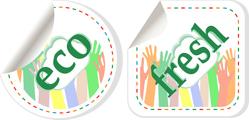 Image showing Set of stickers labels with word: eco and fresh