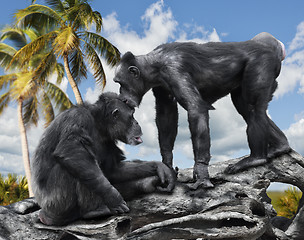 Image showing Two Monkeys