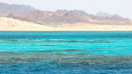 Image showing Ras Mohammed in the Red Sea, Egypt