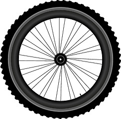 Image showing Bike wheel isolated on white background