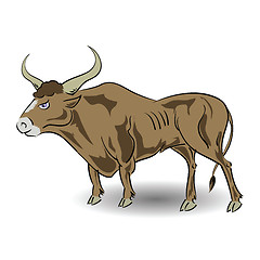 Image showing old bull