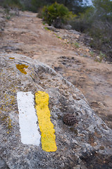 Image showing Trail marker