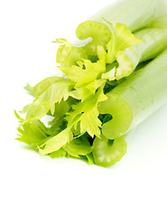 Image showing Celery