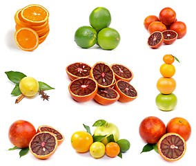 Image showing Citrus Collection