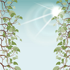 Image showing leafs in sun rays, vector illustration