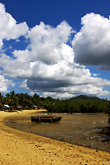 Image showing  madagascar nosy be nail 