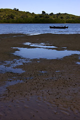 Image showing nail tree boat sand lagoon