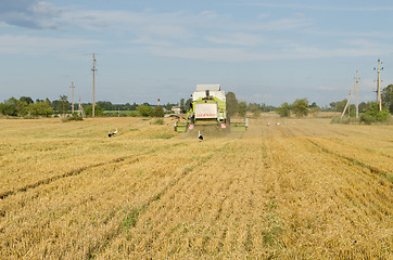 Image showing combine machine agriculture field stork bird 