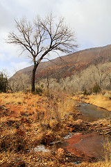 Image showing At Jemez River New Mexico