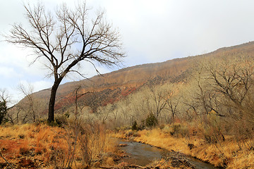 Image showing At Jemez River New Mexico