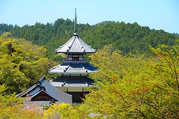 Image showing Japan - Yoshino