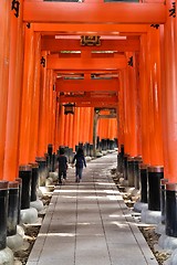 Image showing Japan - Fushimi Inari