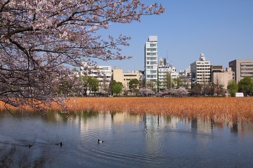 Image showing Tokyo