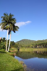 Image showing Cuba - Las Terrazas