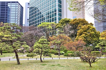 Image showing Tokyo - Hama Rikyu