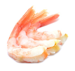 Image showing shrimps