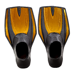 Image showing Swim fins