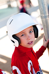 Image showing Little league baseball player in dugout