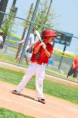 Image showing Youth baseball player with wood bat.