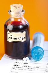 Image showing Allium Cepa plant extract, homeopathic pills on sheet