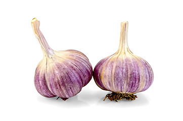 Image showing Garlic whole