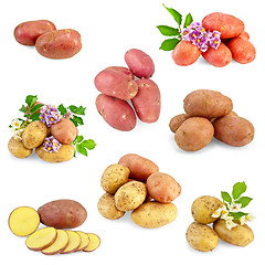 Image showing Potatoes different set