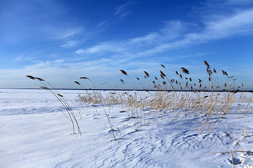 Image showing winter beach