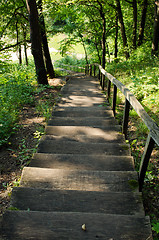 Image showing old wooden stairs in forest 