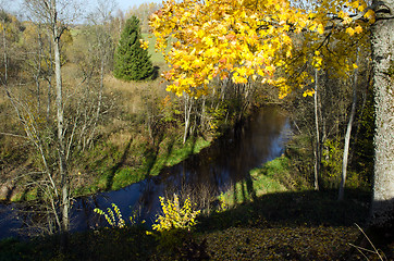 Image showing autumn maple tree leaf river water flow downhill 
