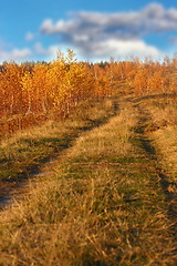 Image showing path in the field