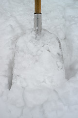 Image showing Snowshovel in a deep snow