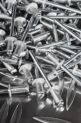 Image showing Aluminium assembly rivets, close up