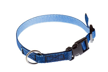 Image showing blue collar for a small dog that is isolated on white