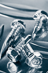 Image showing screws for metal, close-up 