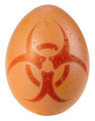 Image showing Egg with biohazard warning sign