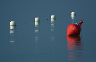 Image showing Buoys