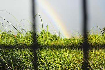 Image showing Rainbow and Grass