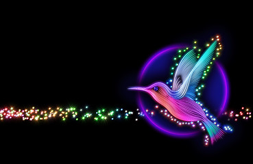 Image showing 3d render of colibri bird - hummingbird with stars