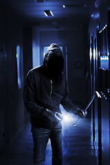 Image showing Burglar